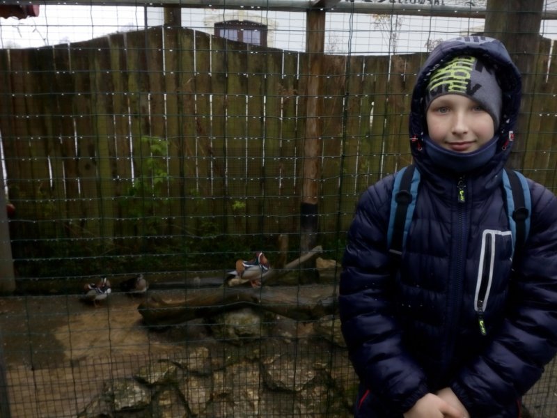 Wycieczka do Jura Parku w Bałtowie